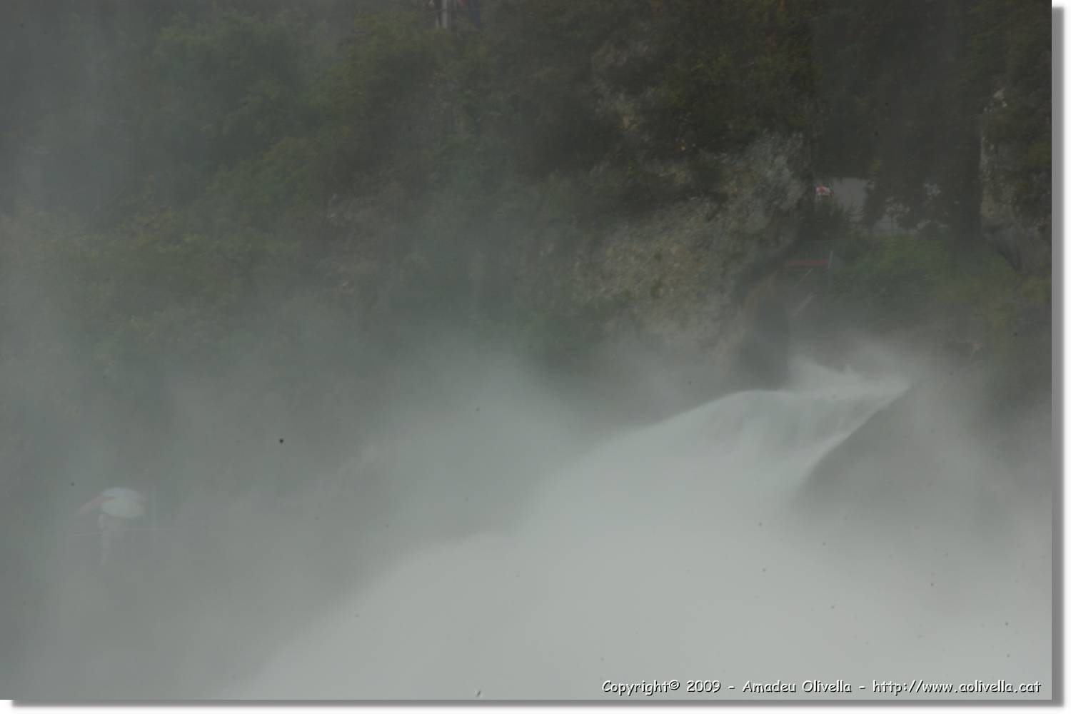 Rheinfall_046.jpg