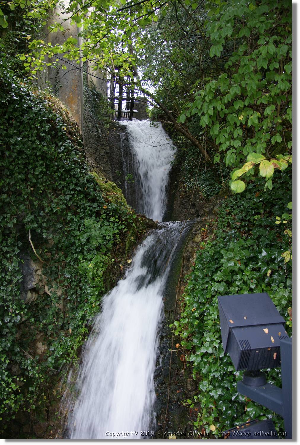Rheinfall_055.jpg