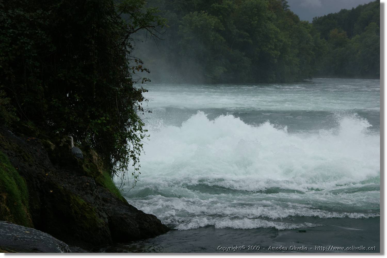 Rheinfall_058.jpg