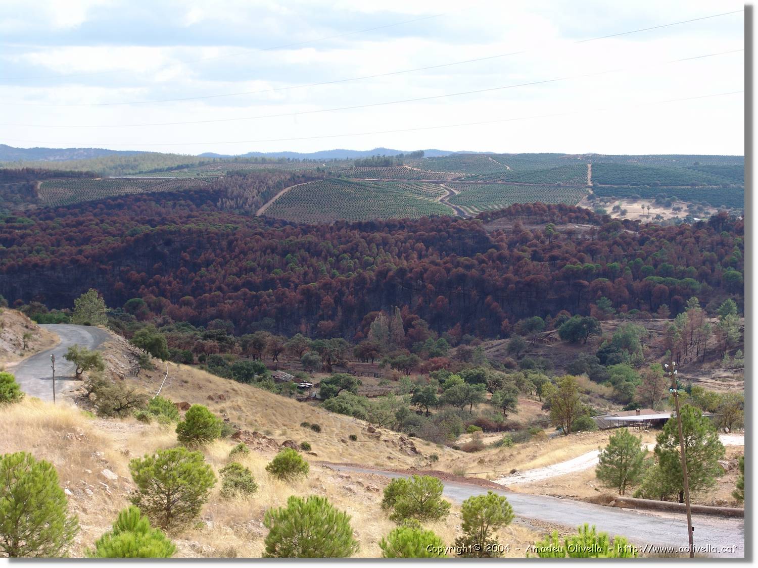 2_Riotinto_131.jpg