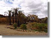 2_Riotinto_120.jpg