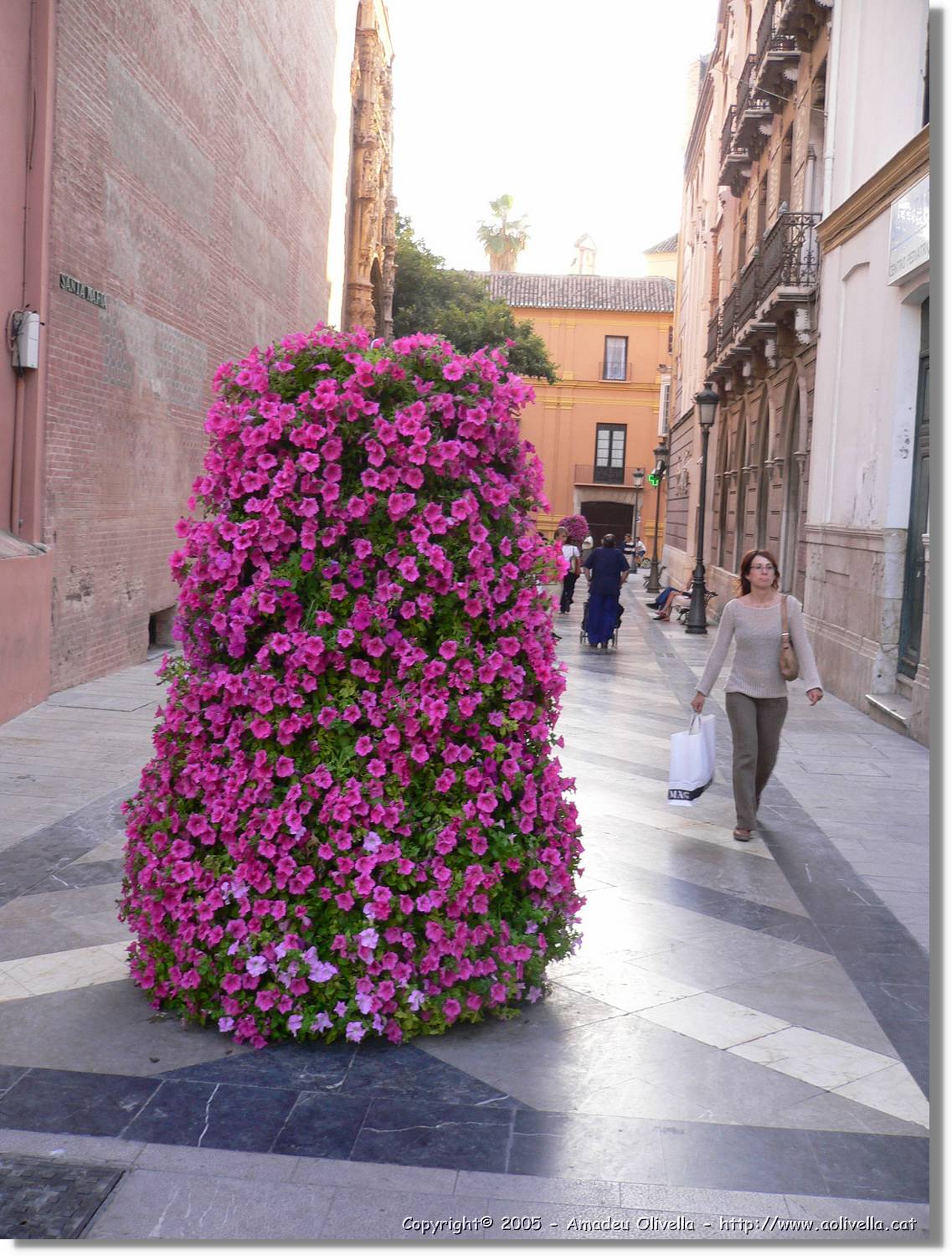 1Malaga_025.jpg