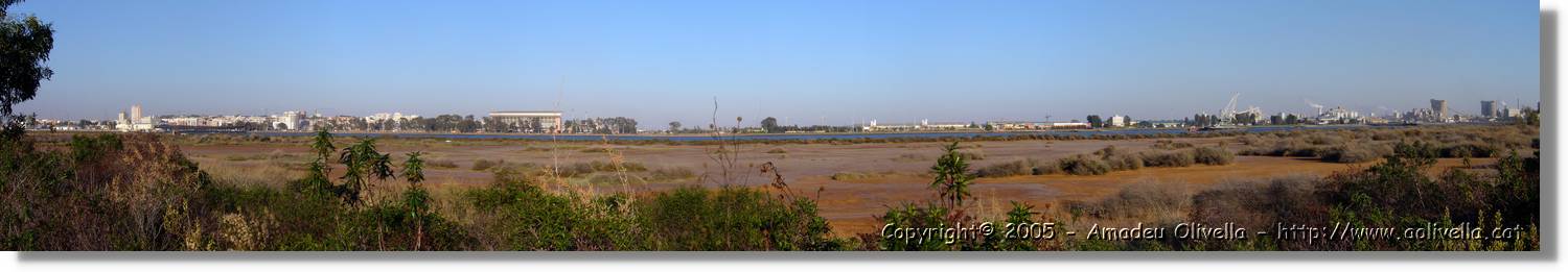 5Huelva_382.jpg