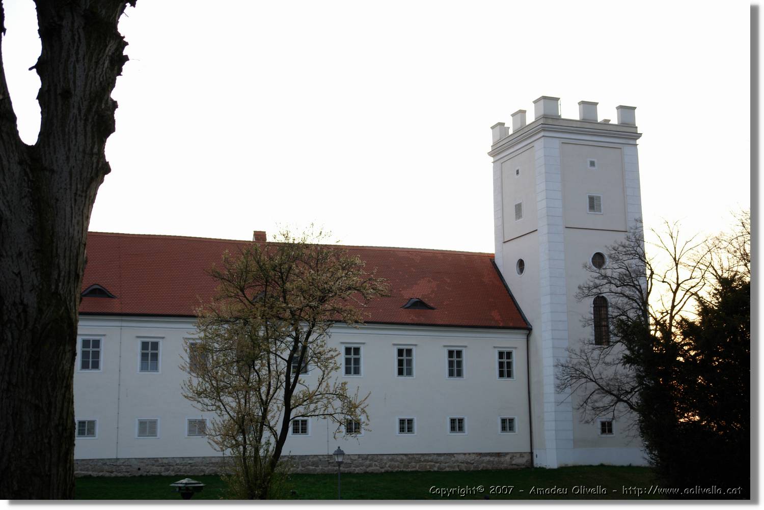 2Enns_017.jpg