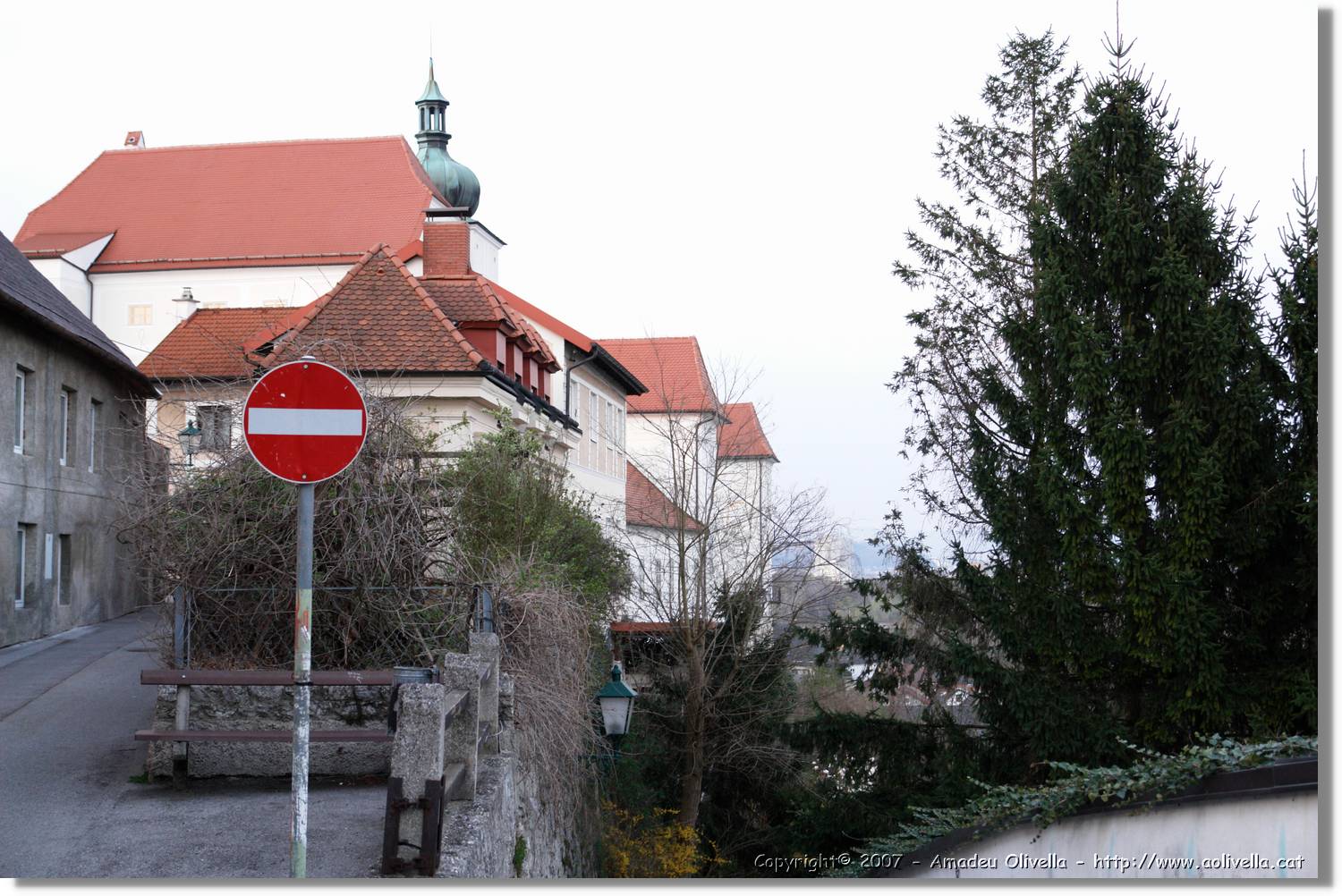 2Enns_020.jpg