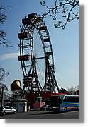 Viena_111.jpg