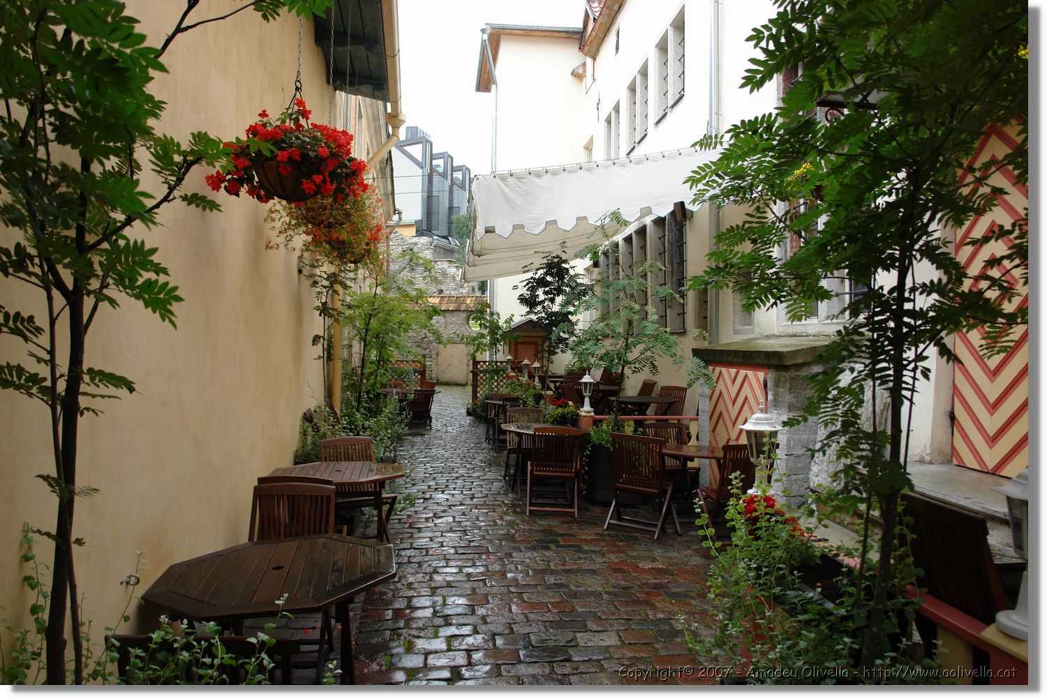 Tallinn_116.jpg