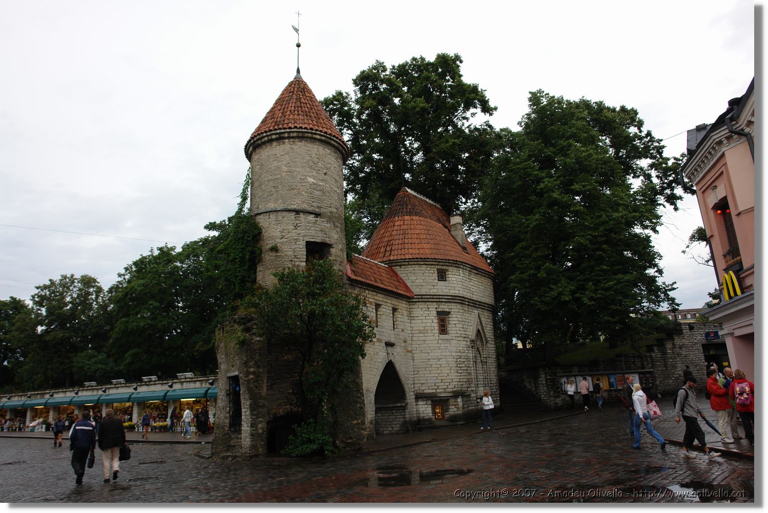Tallinn_206.jpg