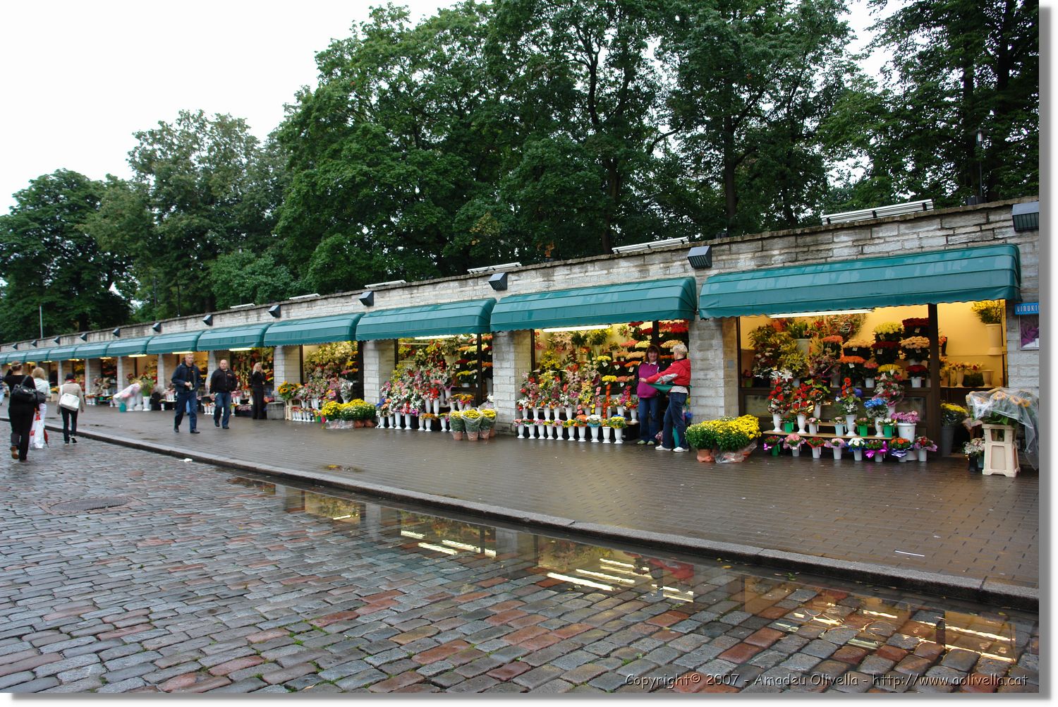 Tallinn_210.jpg