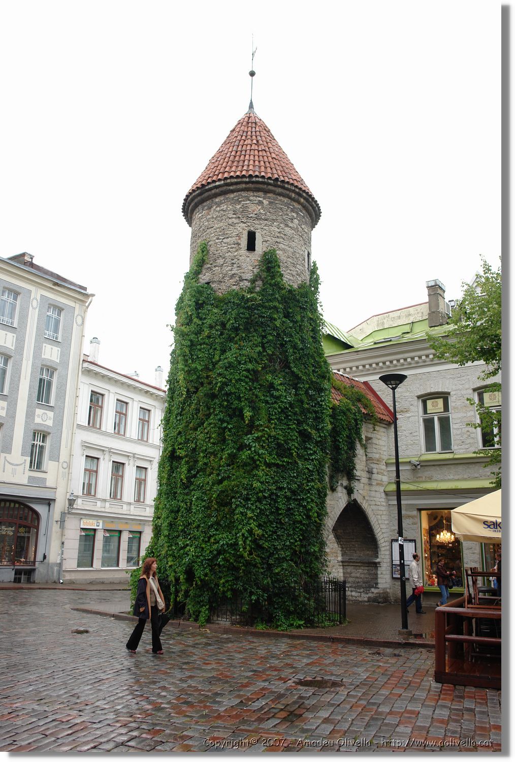 Tallinn_211.jpg