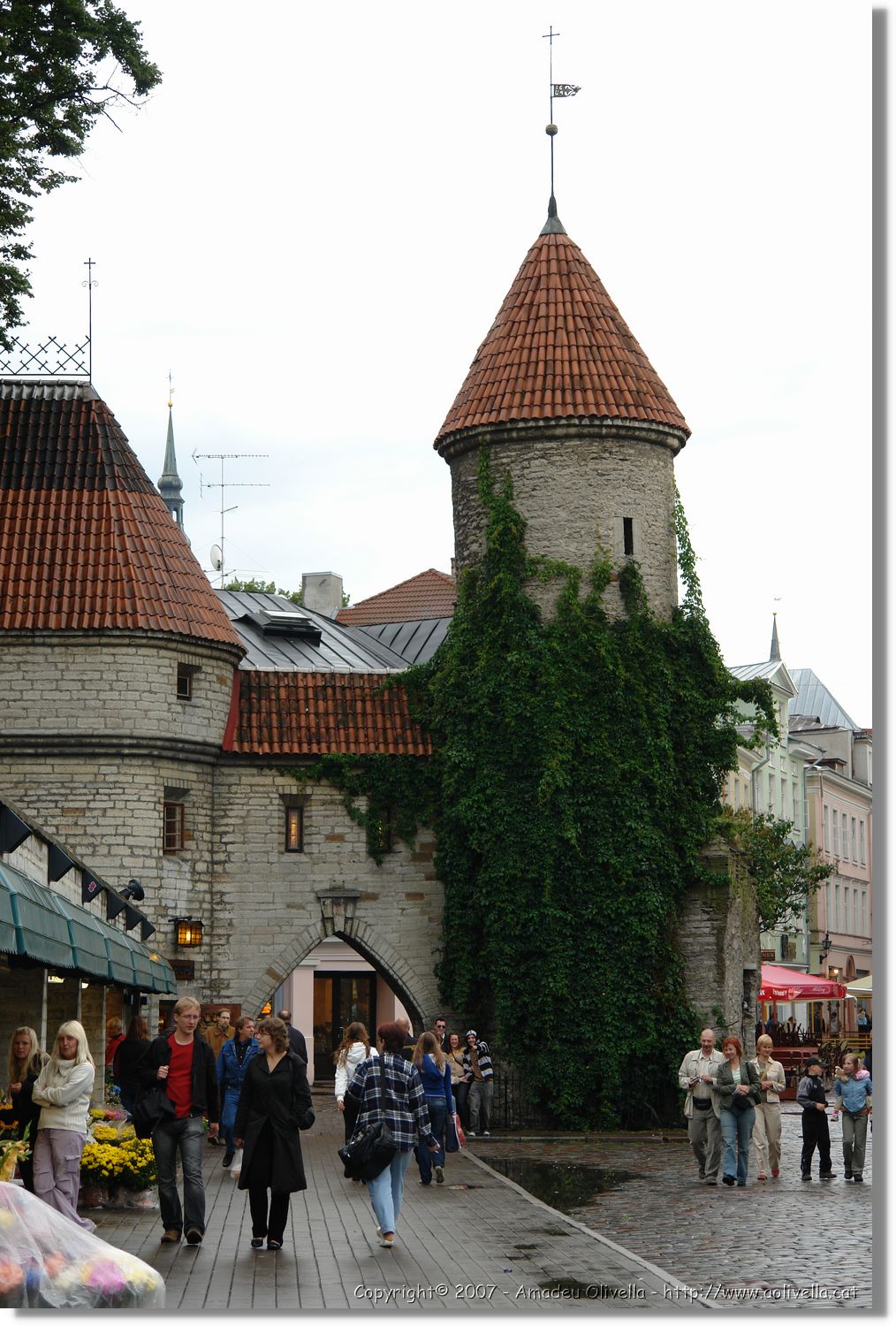 Tallinn_213.jpg