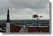 Tallinn_077.jpg