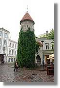 Tallinn_211.jpg