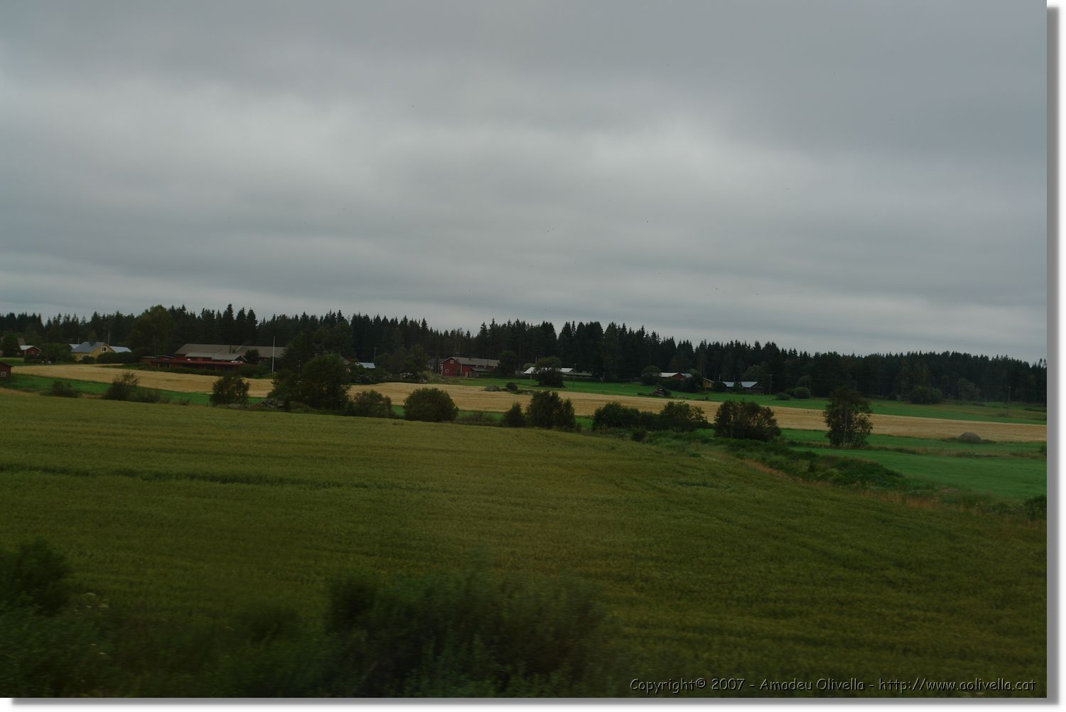 Helsinki_135.jpg