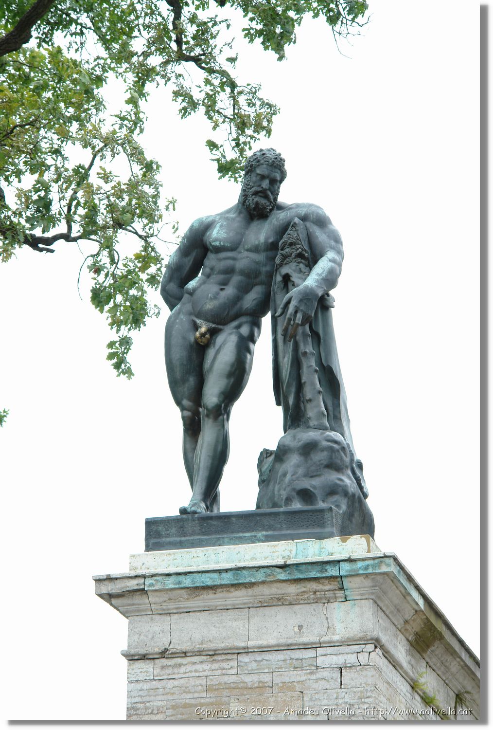 Peter_583.jpg