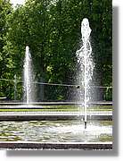Stockh_450.jpg