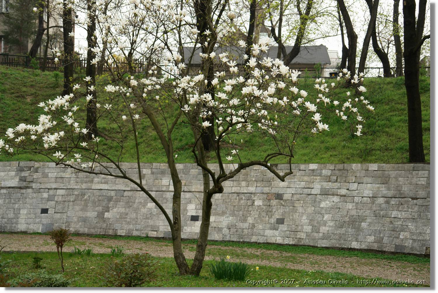 Bratislava_04.jpg