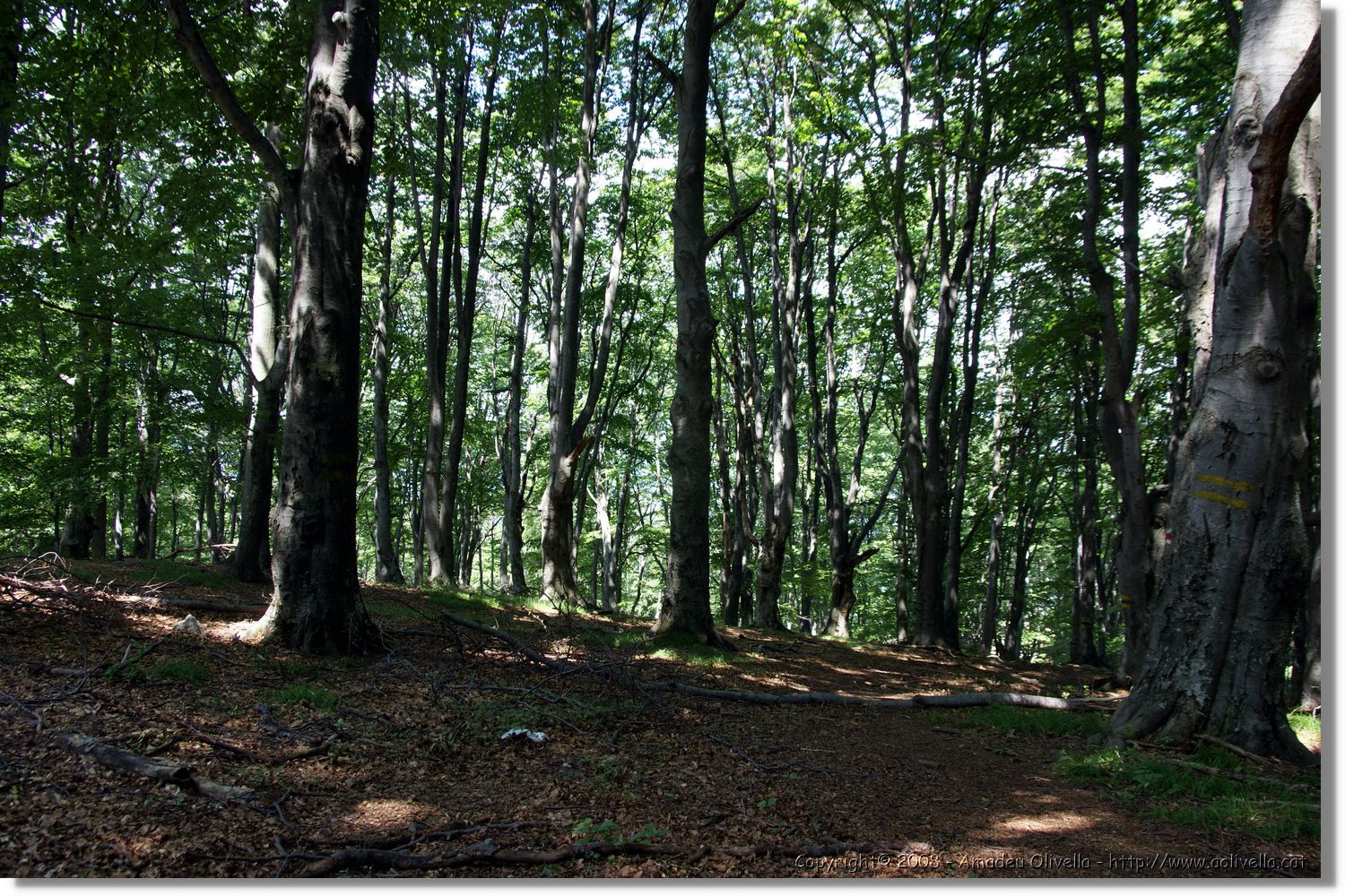 Bulgaria_0143.jpg