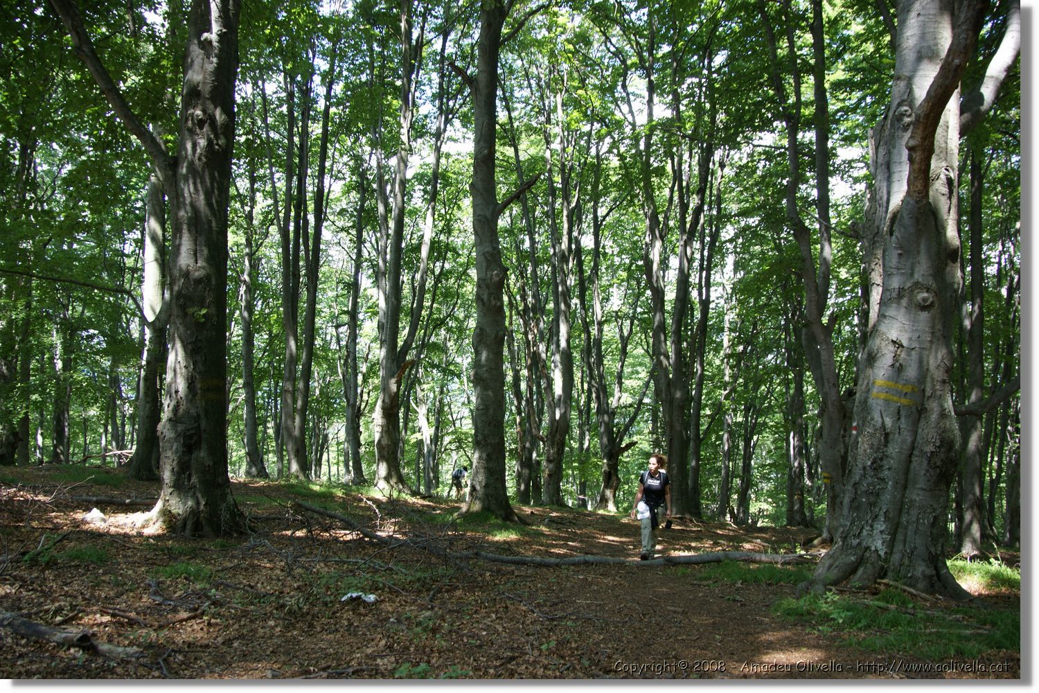 Bulgaria_0145.jpg