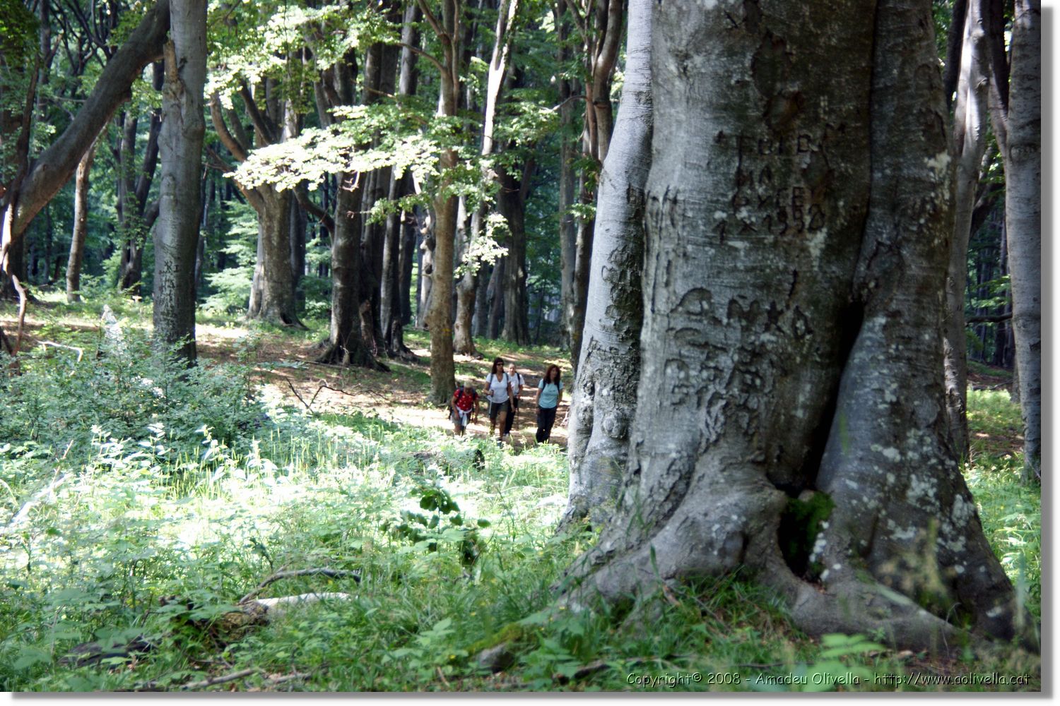 Bulgaria_0146.jpg