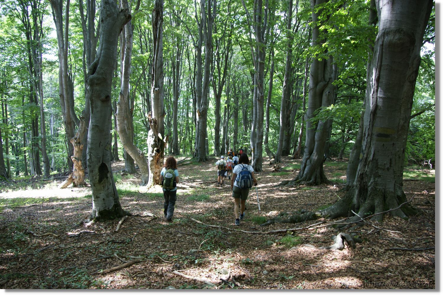 Bulgaria_0179.jpg