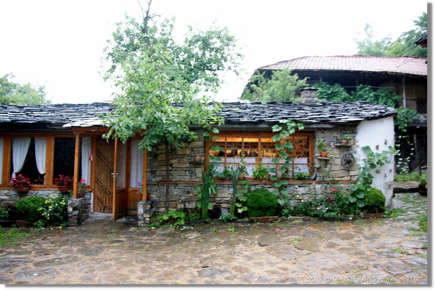 Bulgaria_0244.jpg