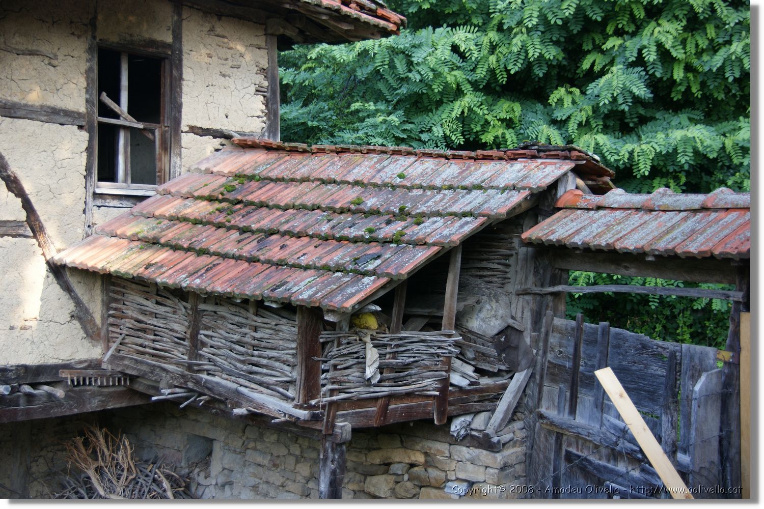 Bulgaria_0260.jpg