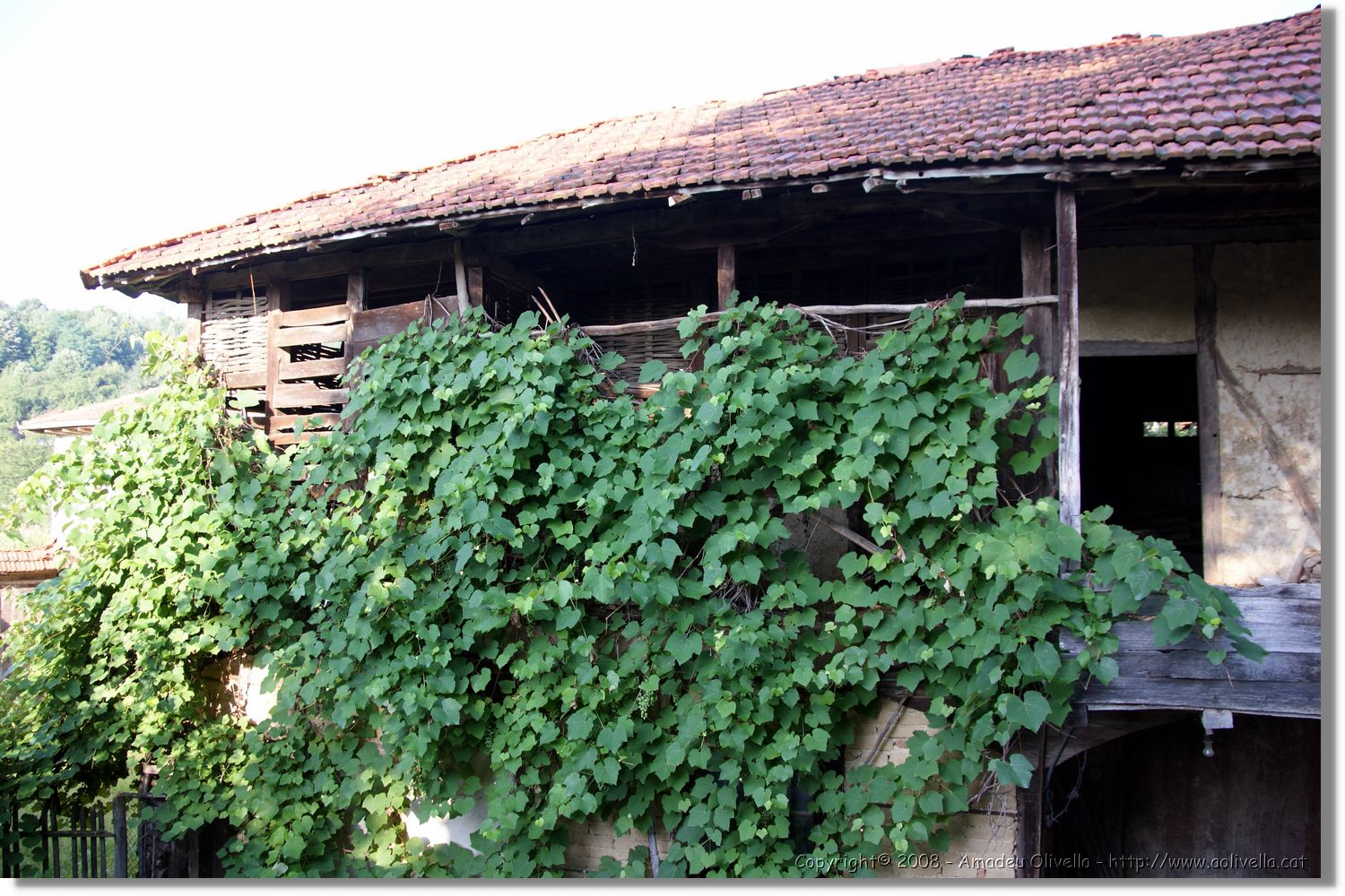 Bulgaria_0261.jpg