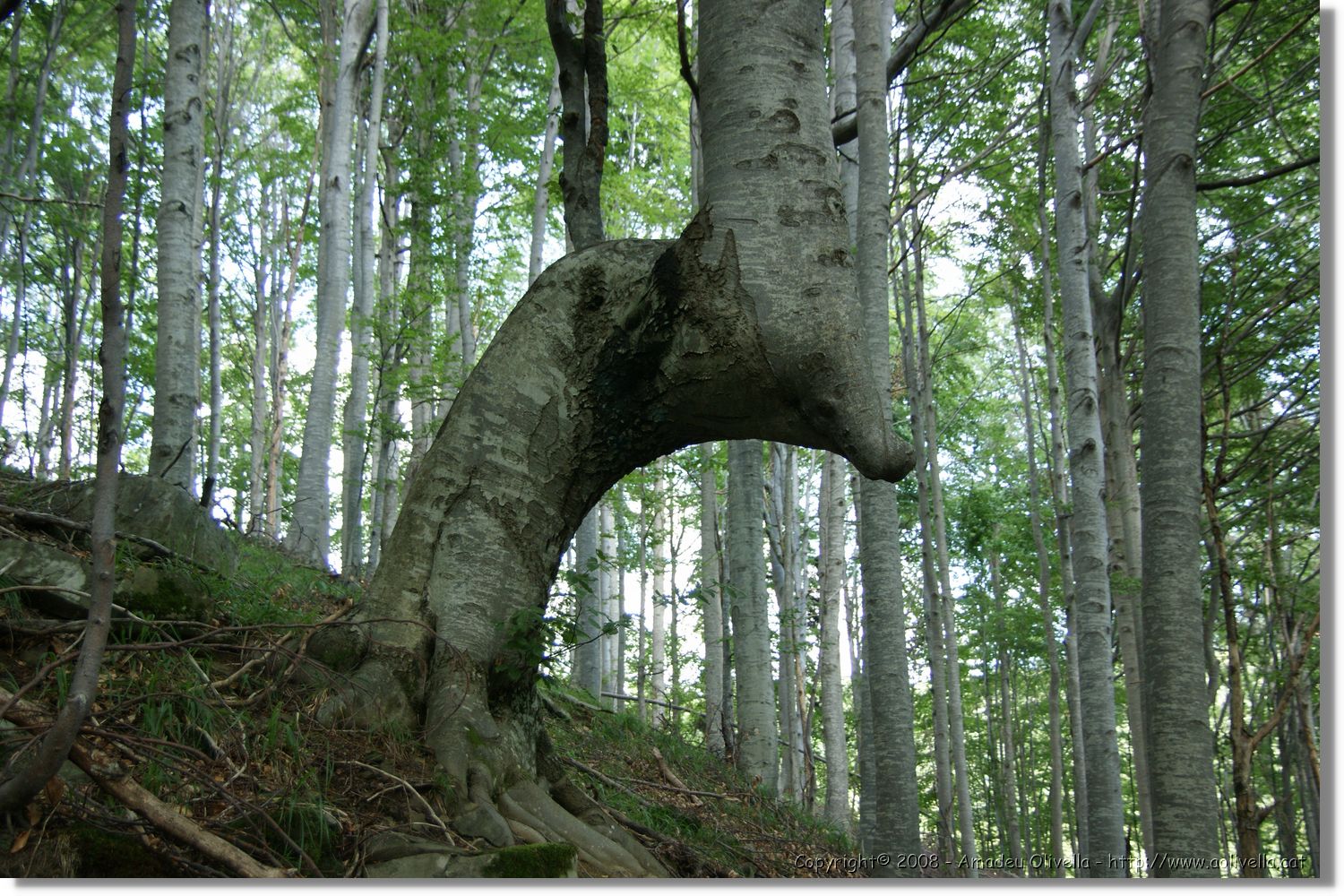 Bulgaria_0294.jpg