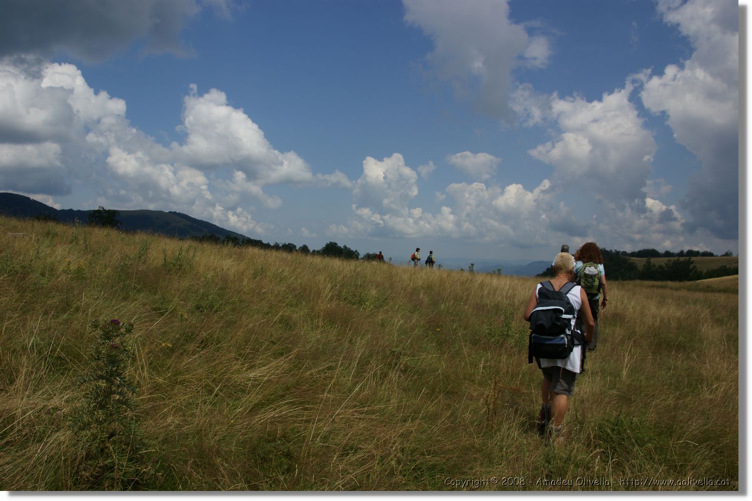 Bulgaria_0315.jpg