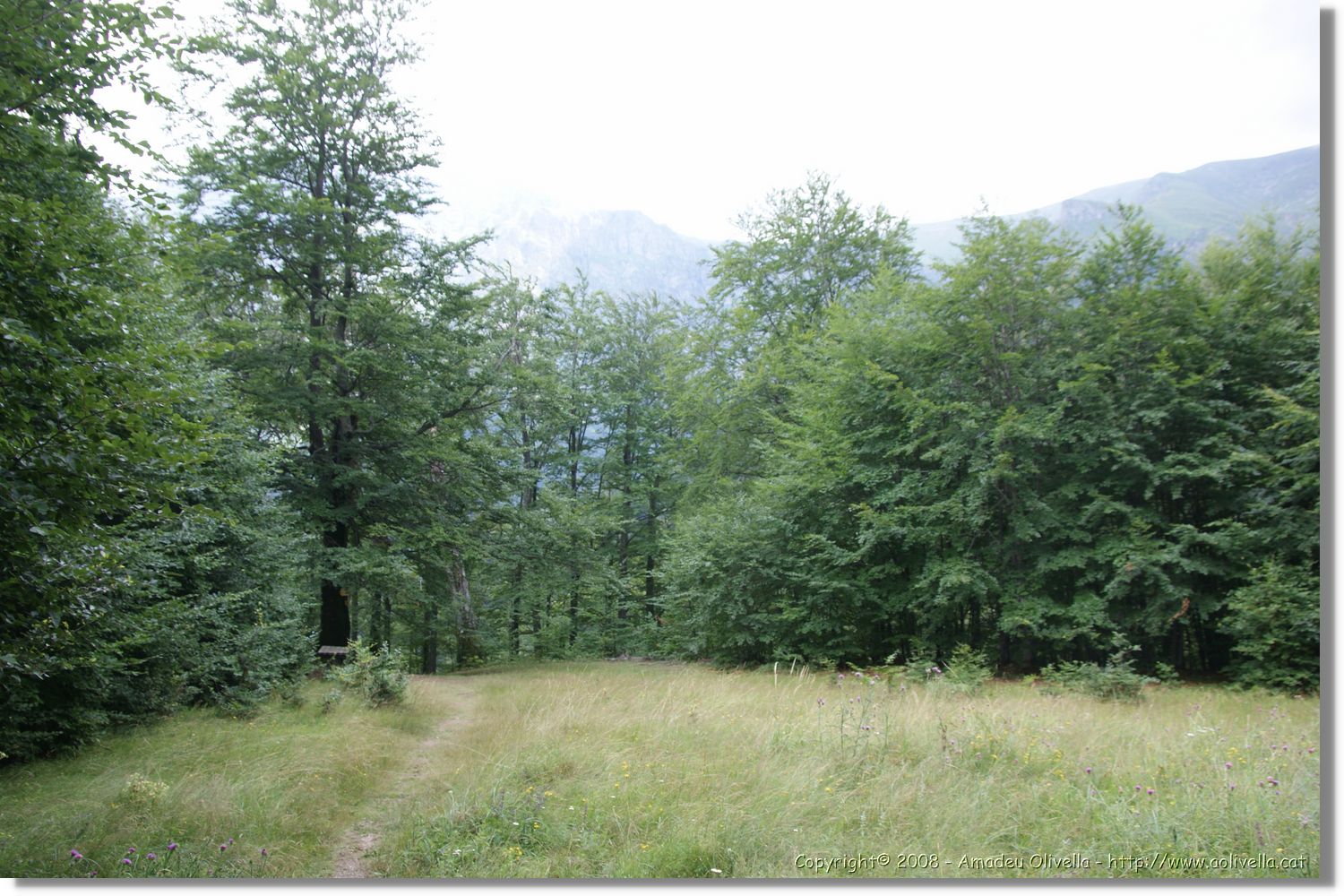 Bulgaria_0351.jpg