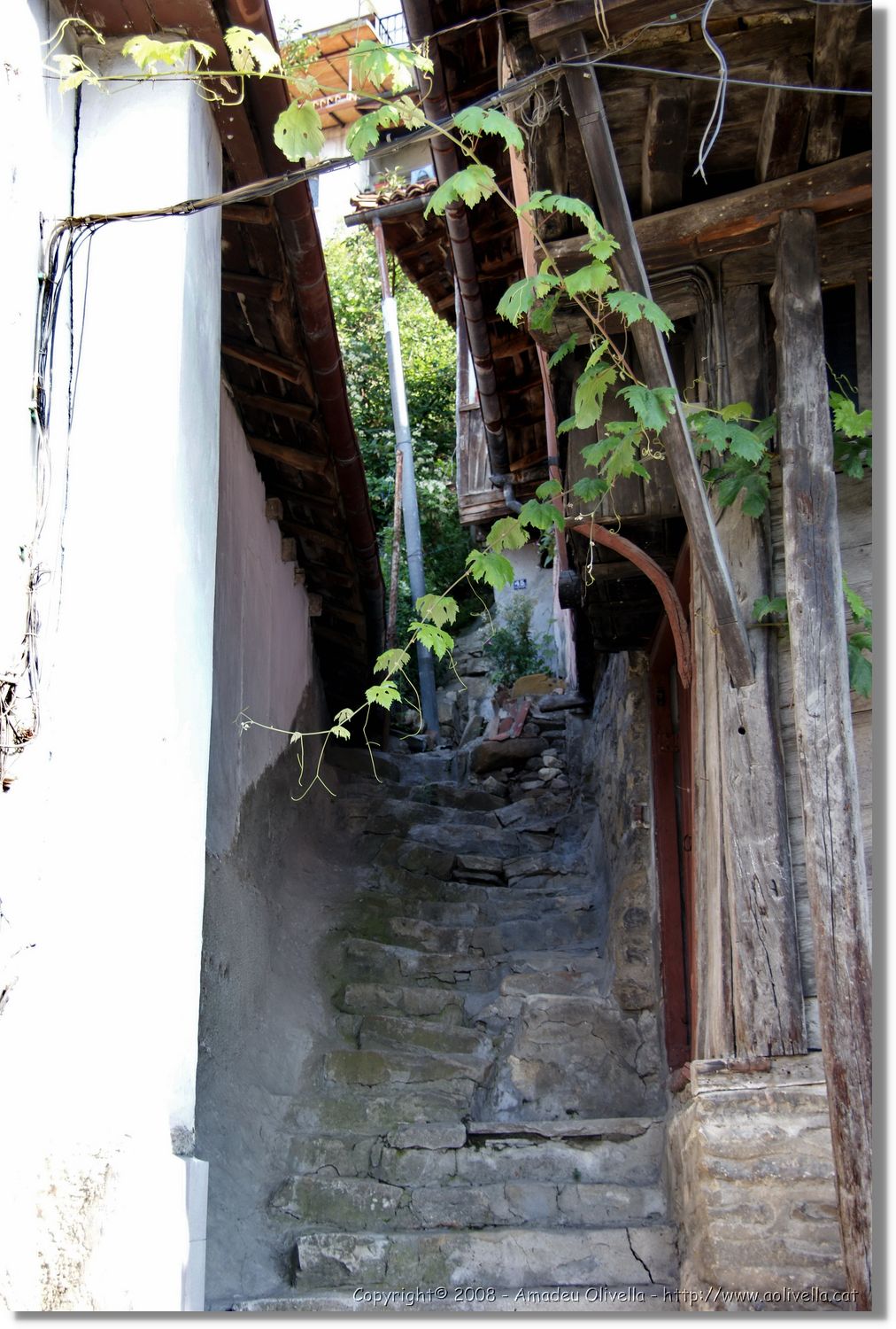 Bulgaria_0433.jpg