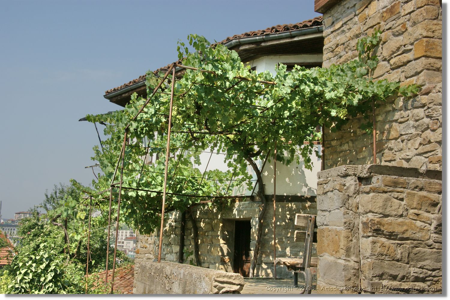 Bulgaria_0493.jpg
