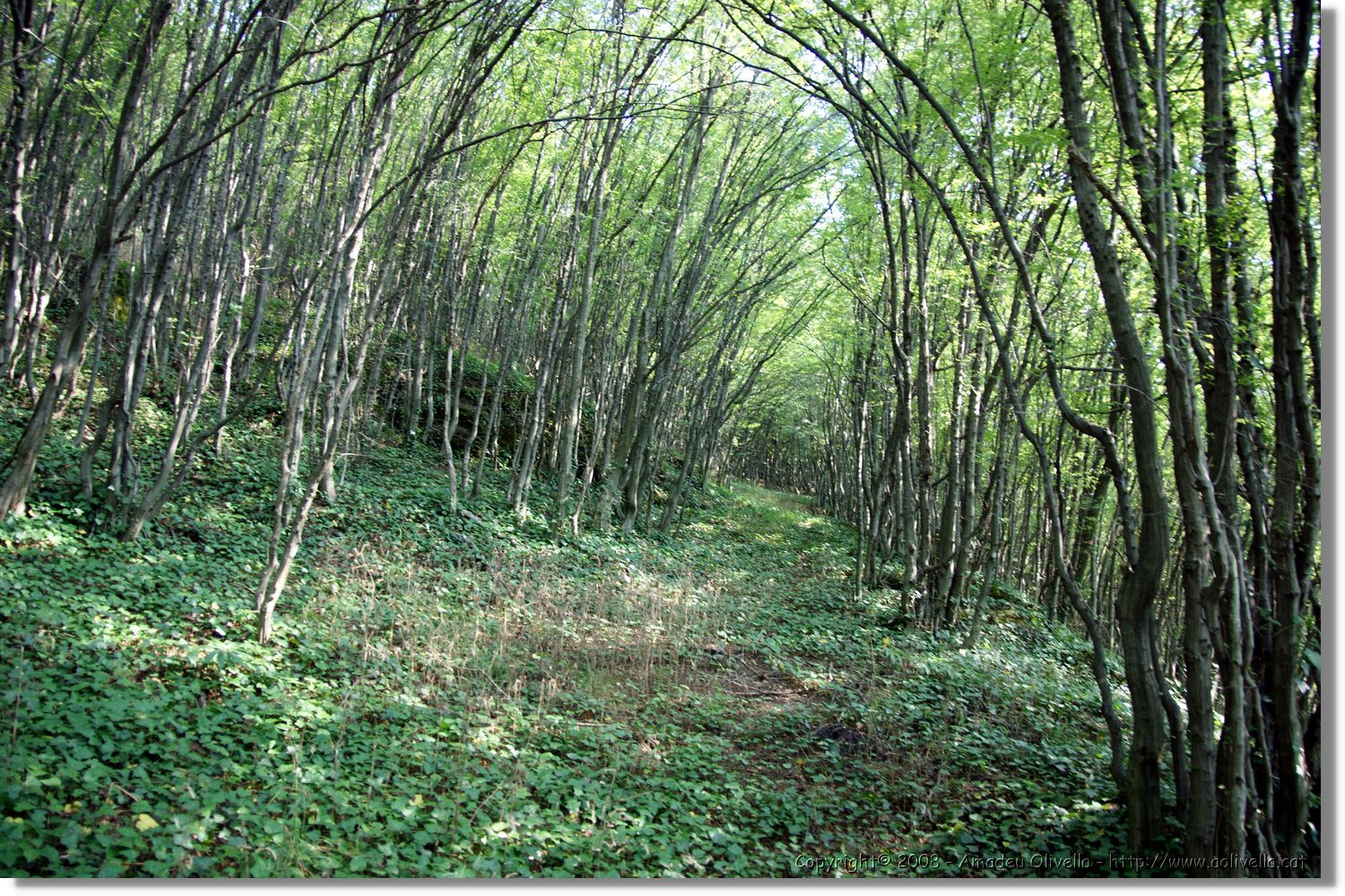 Bulgaria_0570.jpg