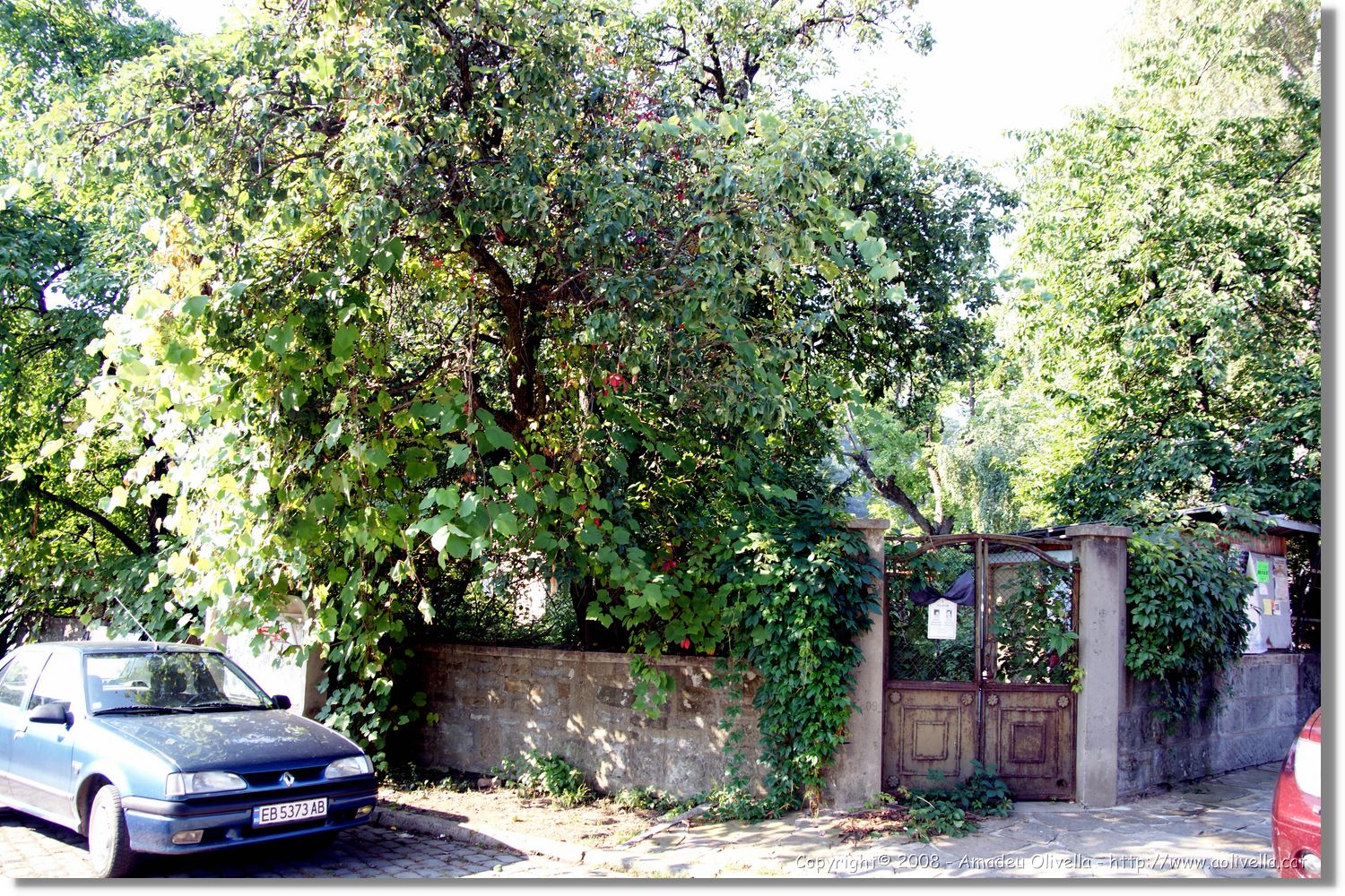 Bulgaria_0612.jpg
