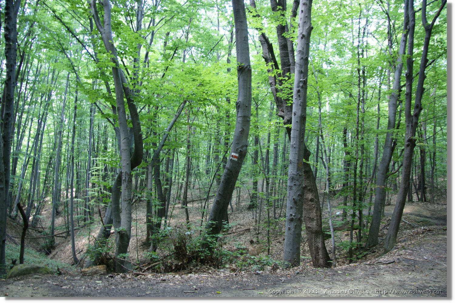 Bulgaria_0695.jpg