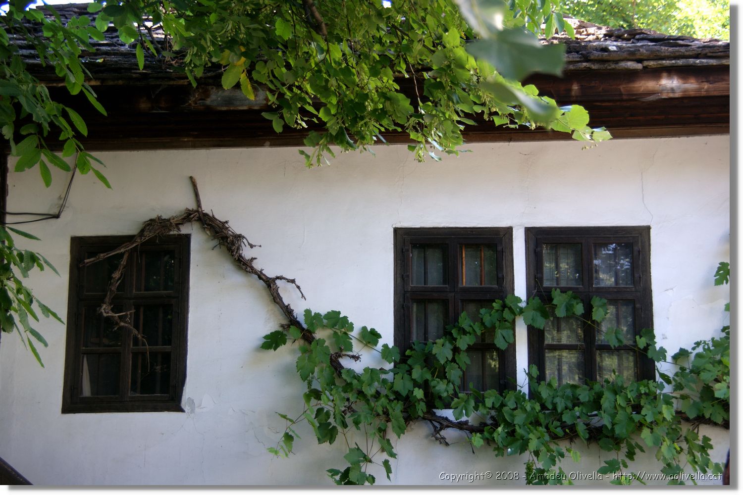 Bulgaria_0707.jpg