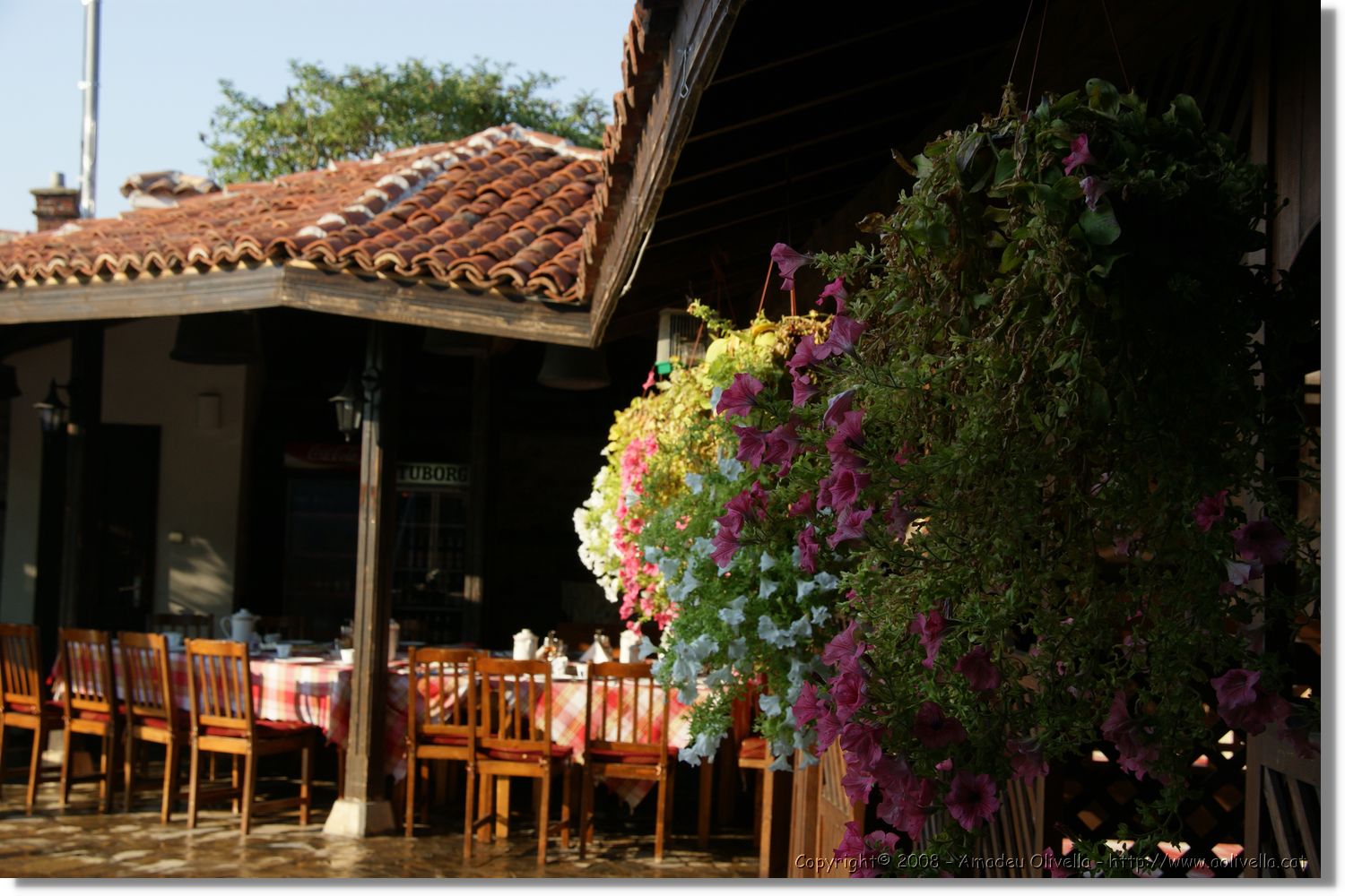 Bulgaria_0782.jpg