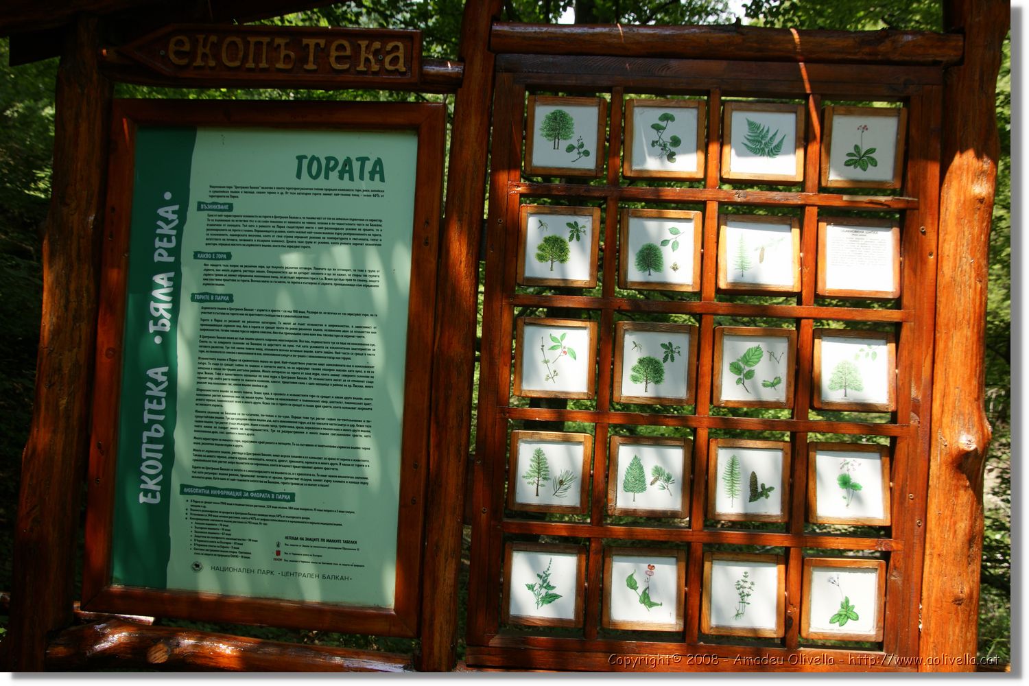 Bulgaria_0797.jpg