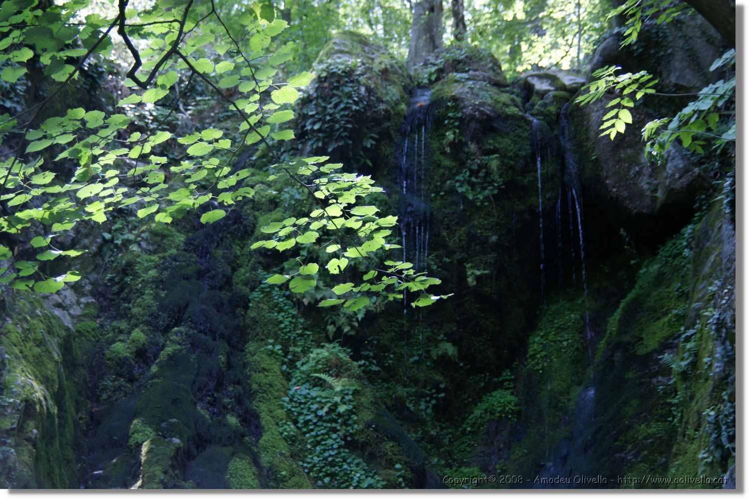 Bulgaria_0801.jpg
