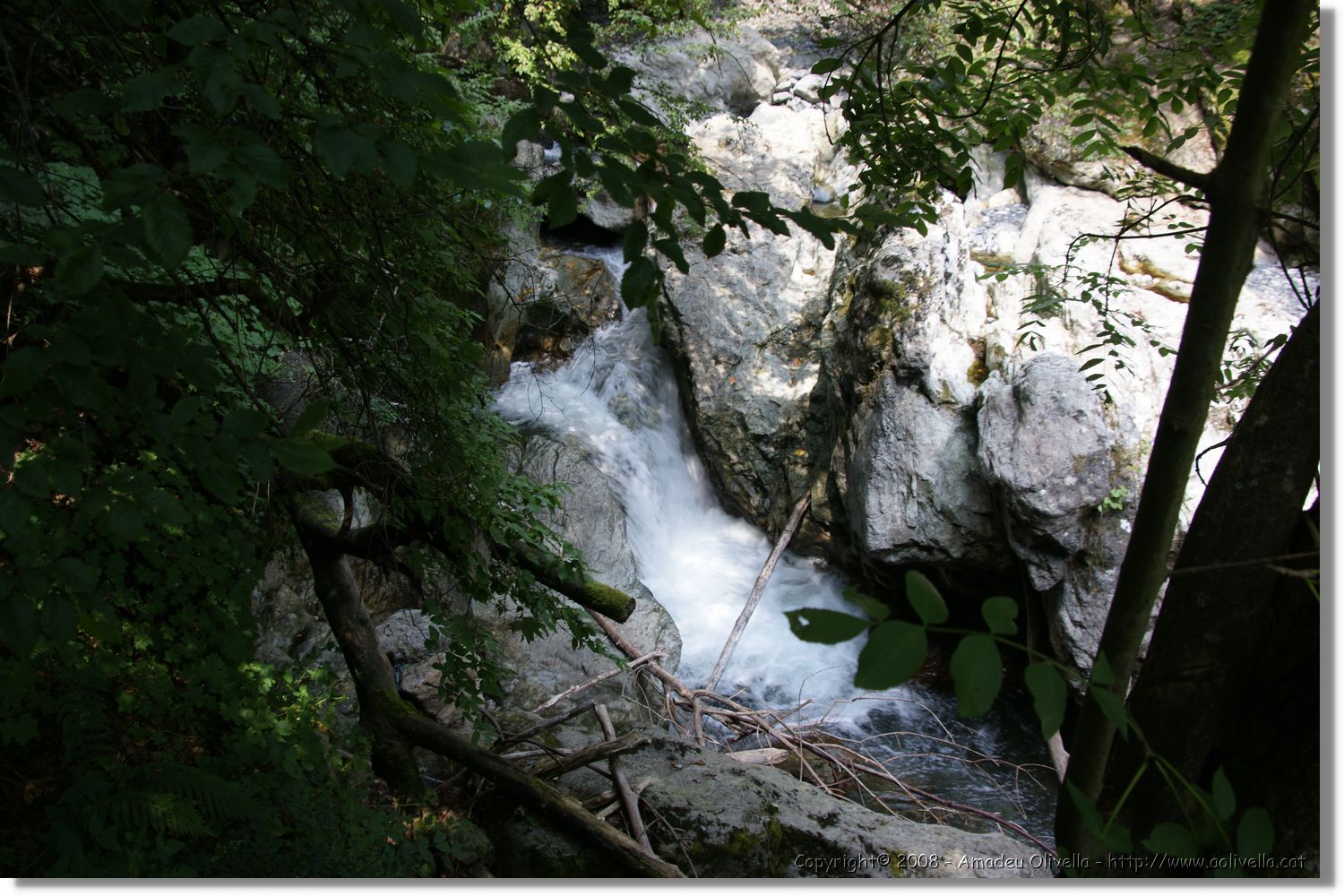 Bulgaria_0804.jpg