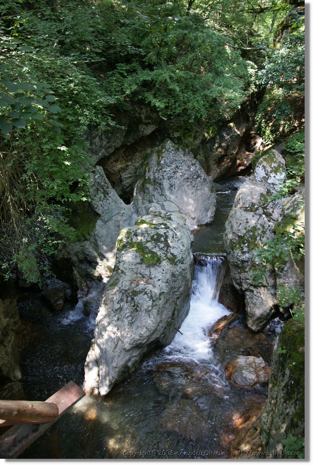 Bulgaria_0807.jpg