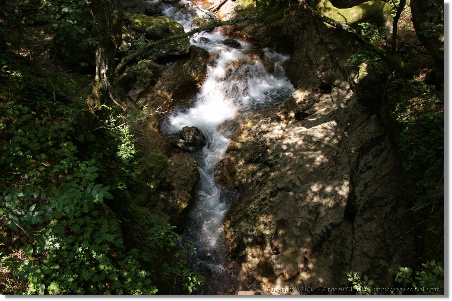 Bulgaria_0808.jpg
