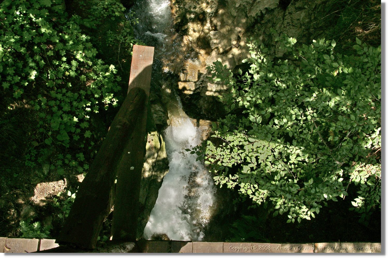 Bulgaria_0809.jpg
