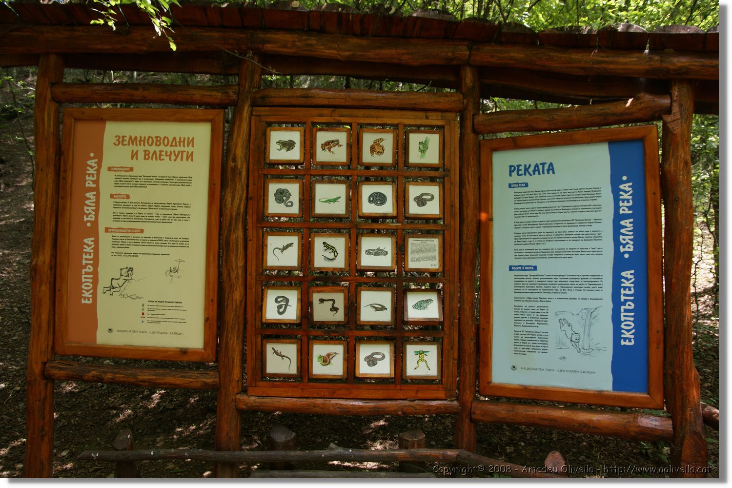 Bulgaria_0810.jpg