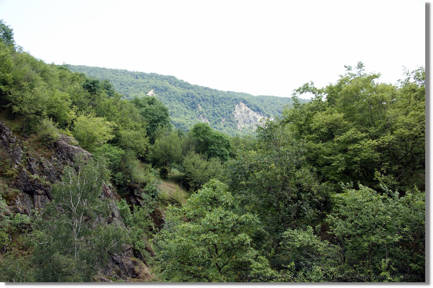 Bulgaria_0819.jpg