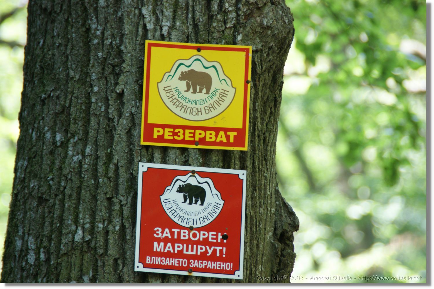 Bulgaria_0841.jpg