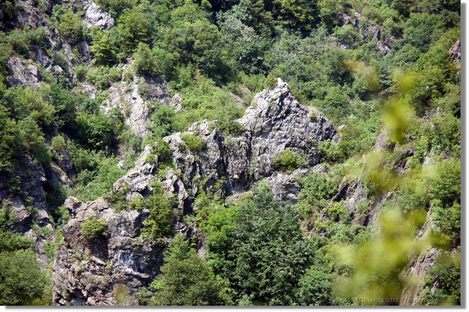 Bulgaria_0842.jpg