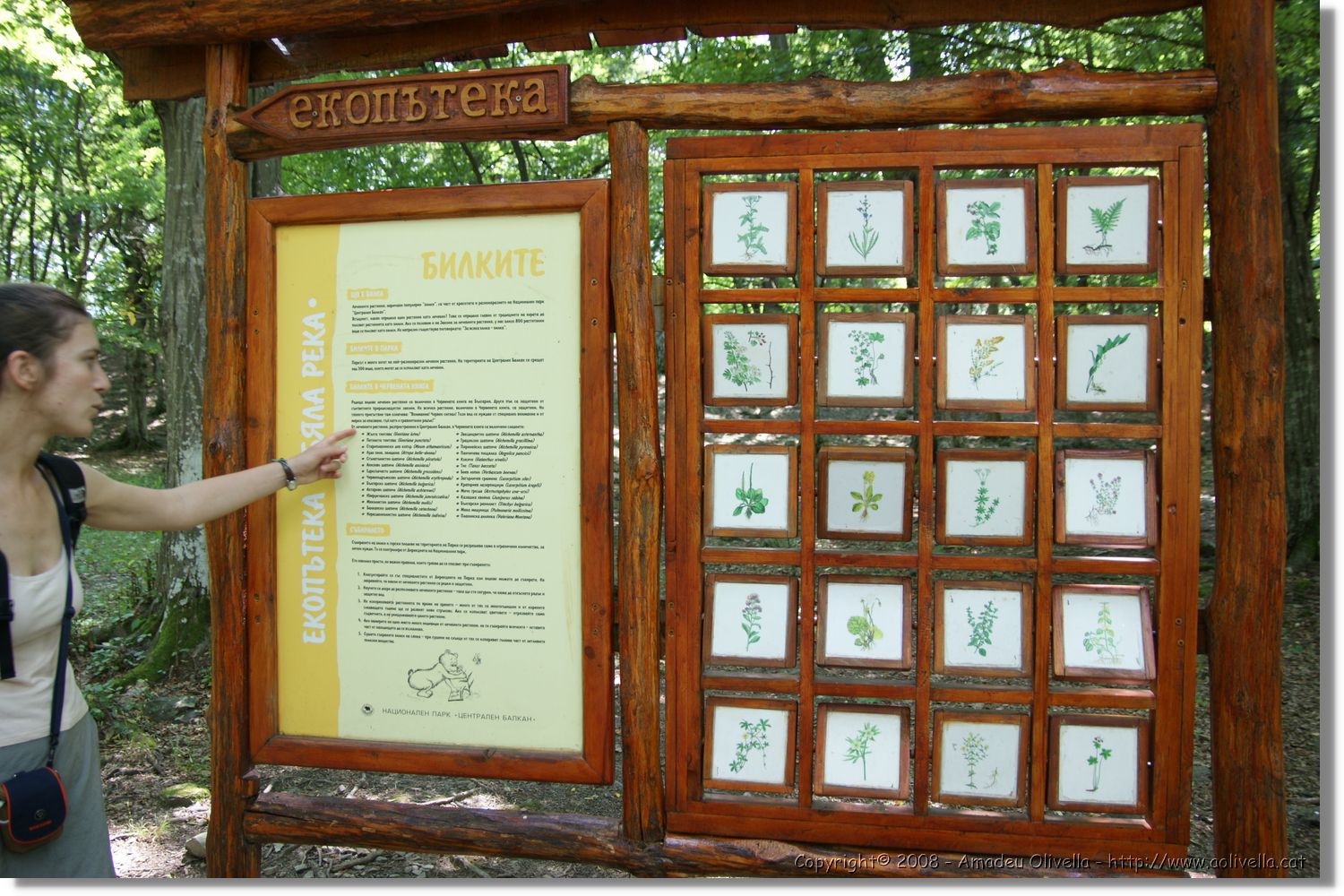 Bulgaria_0846.jpg