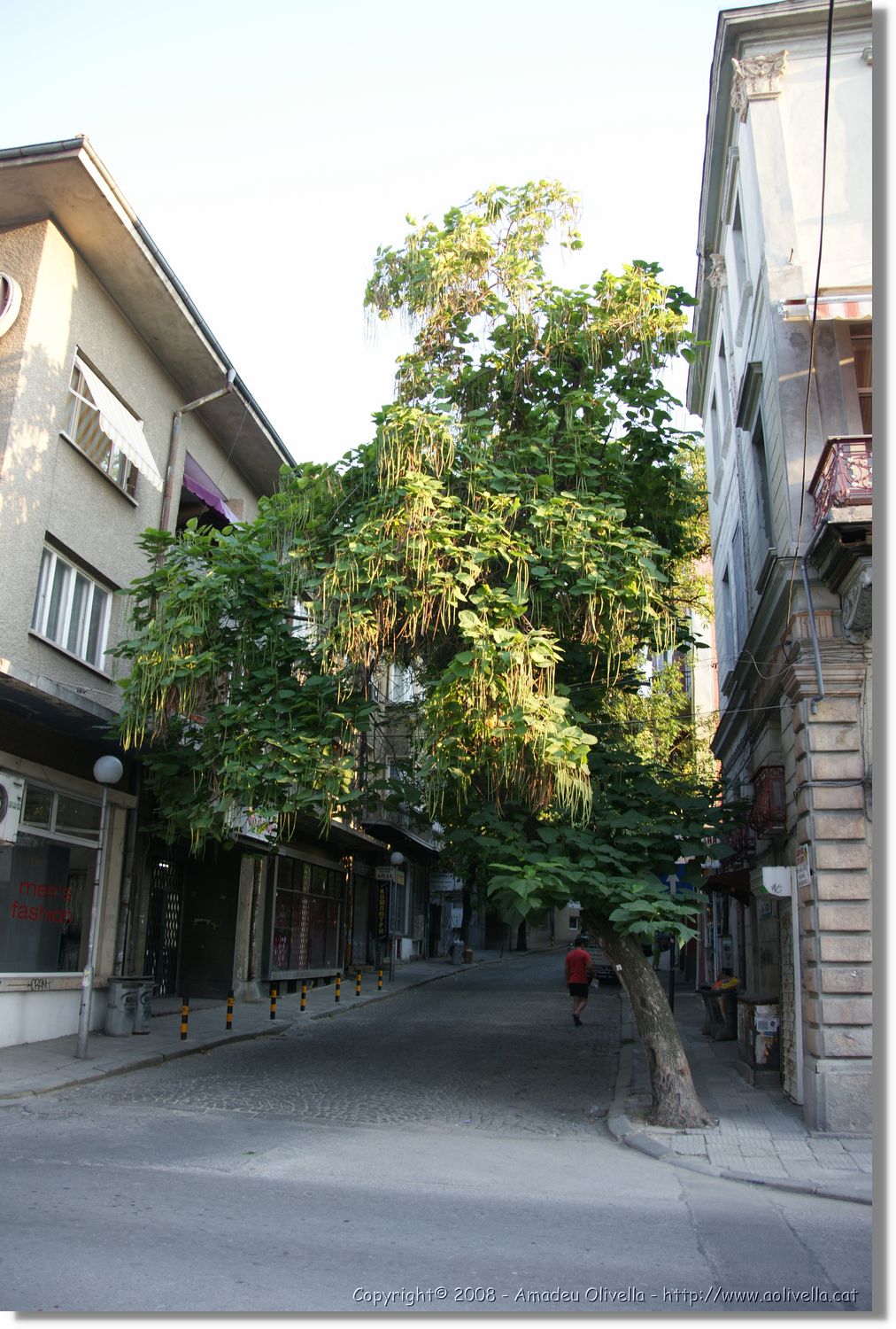 Bulgaria_0861.jpg